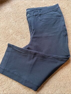 Banana Republic Black Chinos